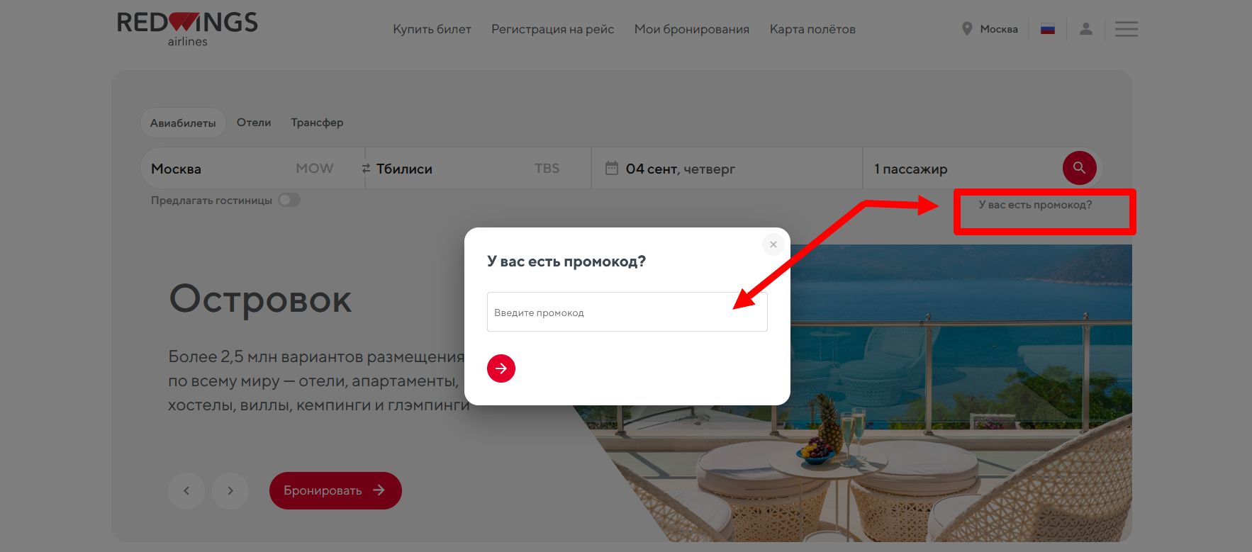 промокод Ред Вингс