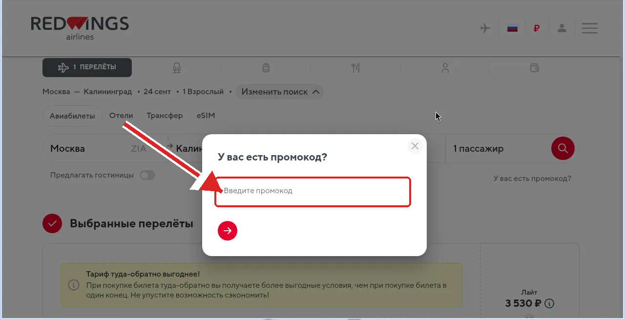 промокод Ред Вингс