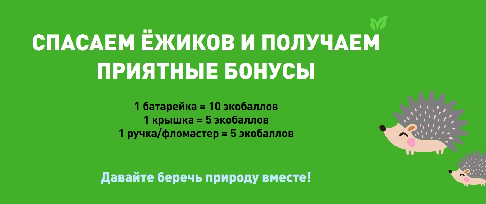 Экомаркет