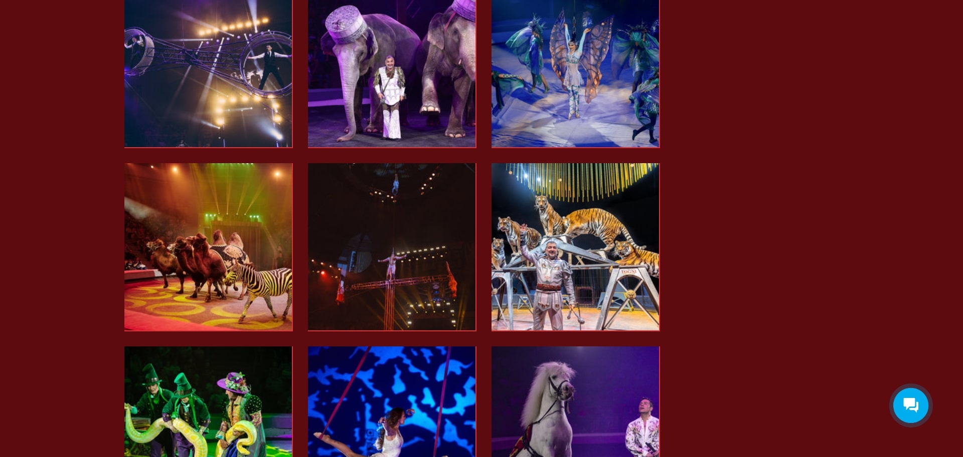 Цирк на Фонтанке