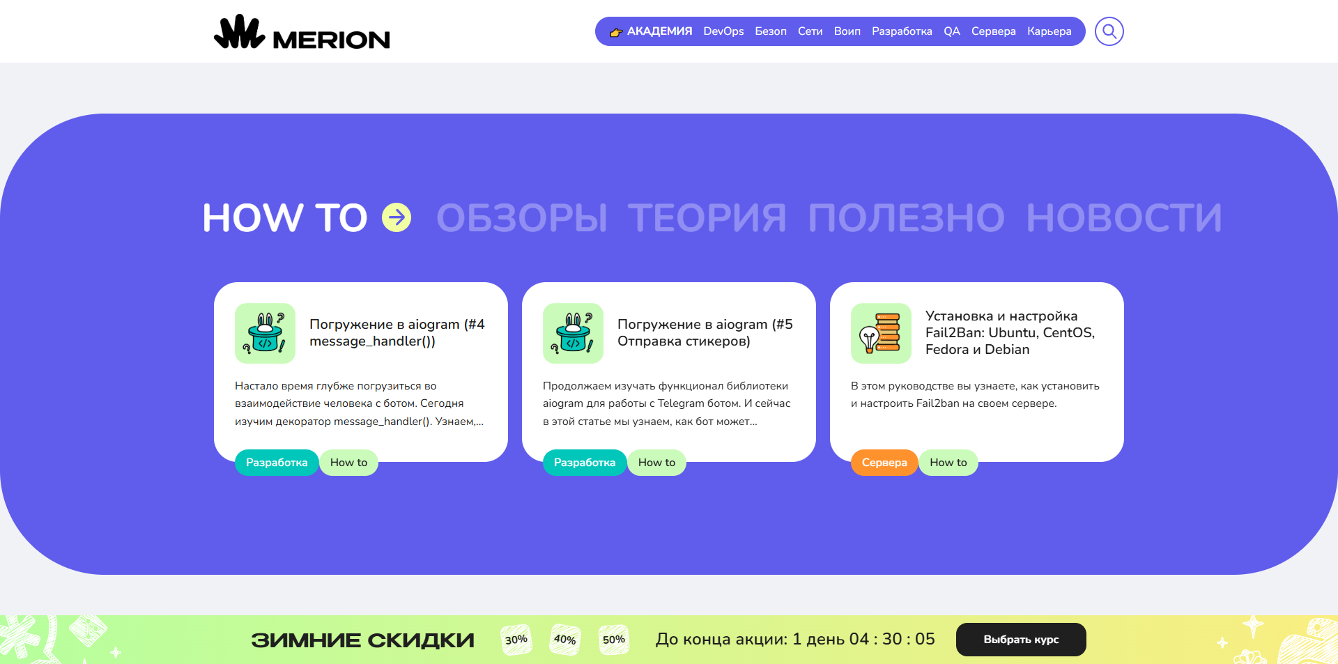 Мерион Академия