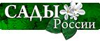Сады России Сады России